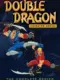 Double Dragon Featured Image