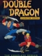 Double Dragon Featured Image